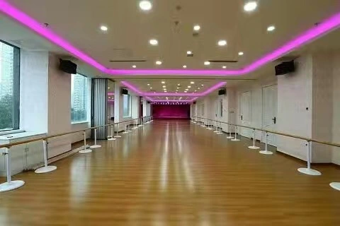 Cast Iron Movable Children S Dance Bar